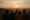 cursing at sunrise